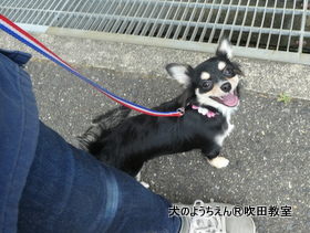20180728sui (8).JPG