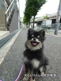 20180728sui (16).JPG