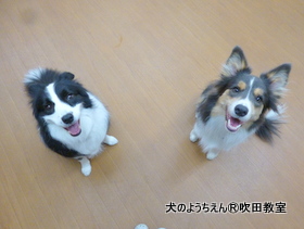 20190915sui (1).JPG
