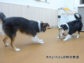 20190915sui (2).JPG