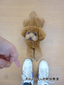 20190915sui (13).JPG
