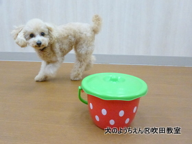 20190915sui (20).JPG