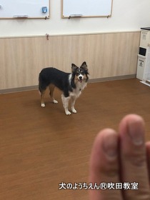 20190915sui (1).JPG