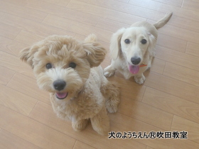 20191002sui (25).JPG