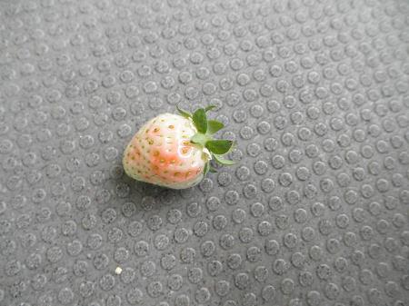いちご