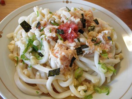 梅ささみ冷やしうどん