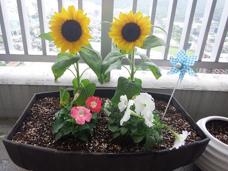 お花を植える