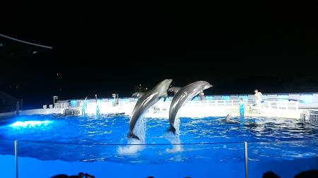 京都水族館