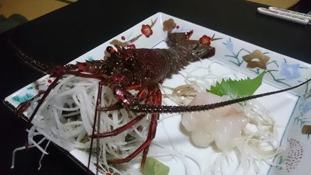 海楽園