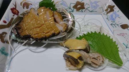 海楽園