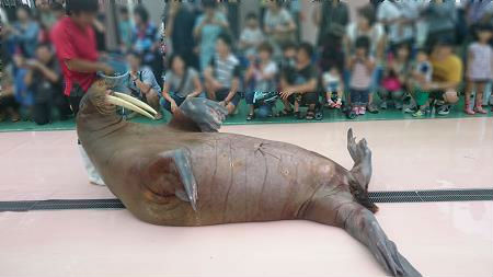 二見シーパラダイス