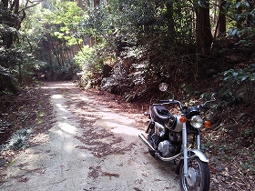 yd125s国見林道