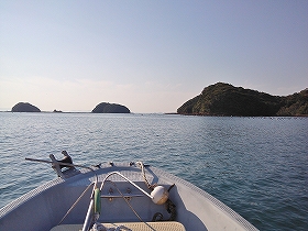 高島 釣り