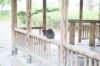 福山城04