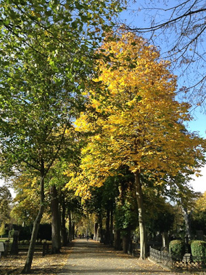 スウェーデン 紅葉