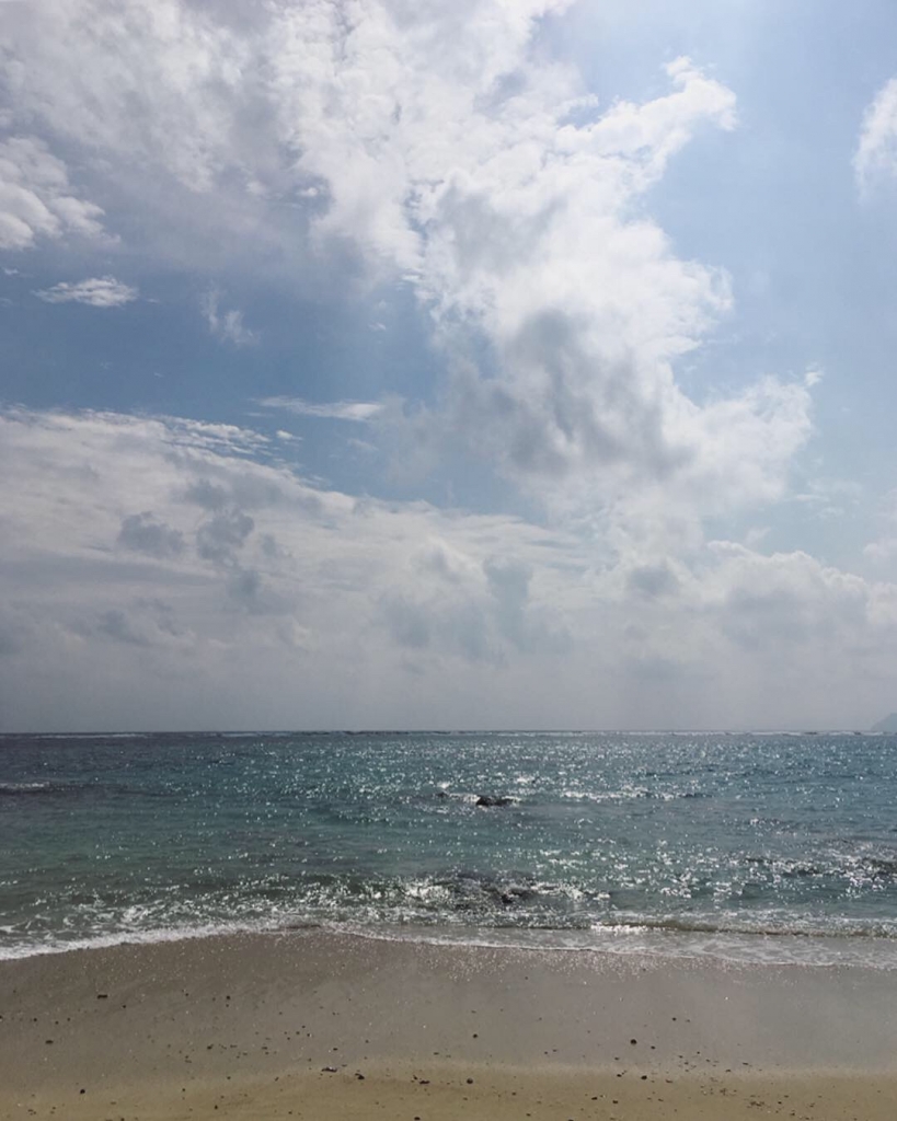 奄美大島