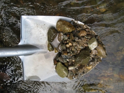 1-1B_1719.jpg