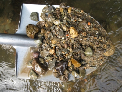 1-1C_1720.jpg