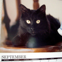 20110912