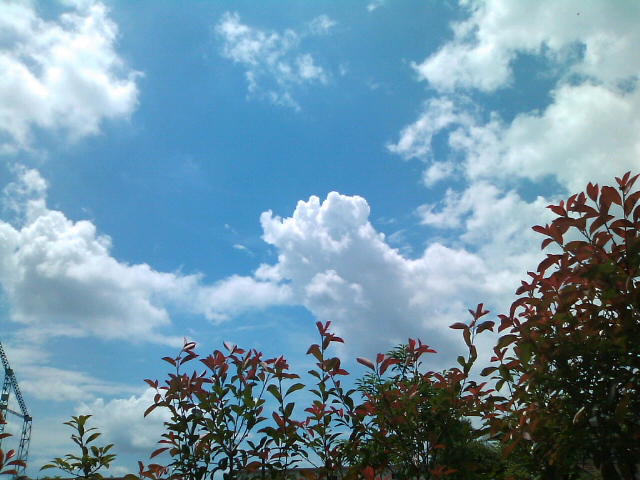 雲