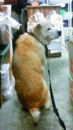 201201041751001.jpg