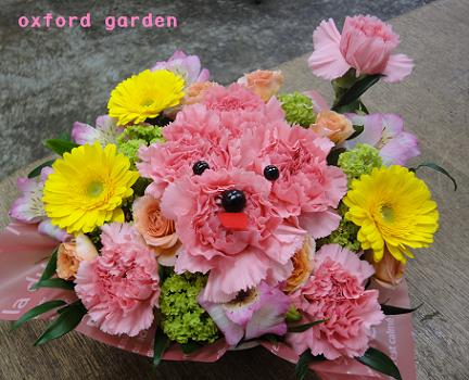 母の日gift カーネーションプードル Flower Shop Oxford Garden