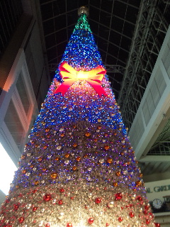 101223_220013.jpg