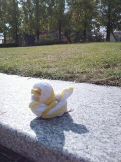 20121112_190012.jpg