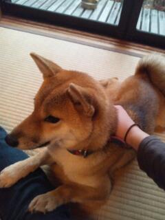 20130108_001557.jpg
