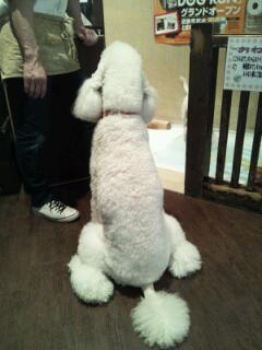20130121_012146.jpg