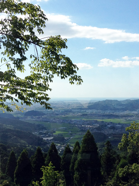 わらび野