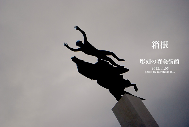 DSC_0019 のコピー.jpg