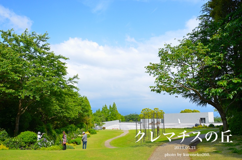 DSC_2037 のコピー.jpg