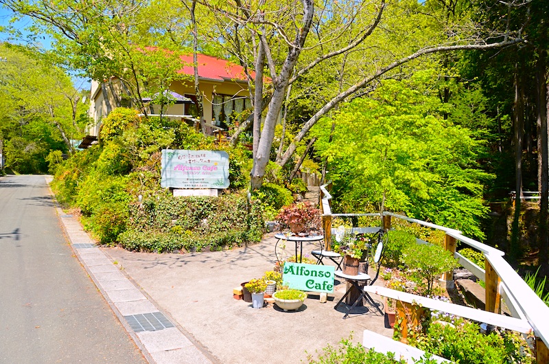 DSC_1520 のコピー.jpg