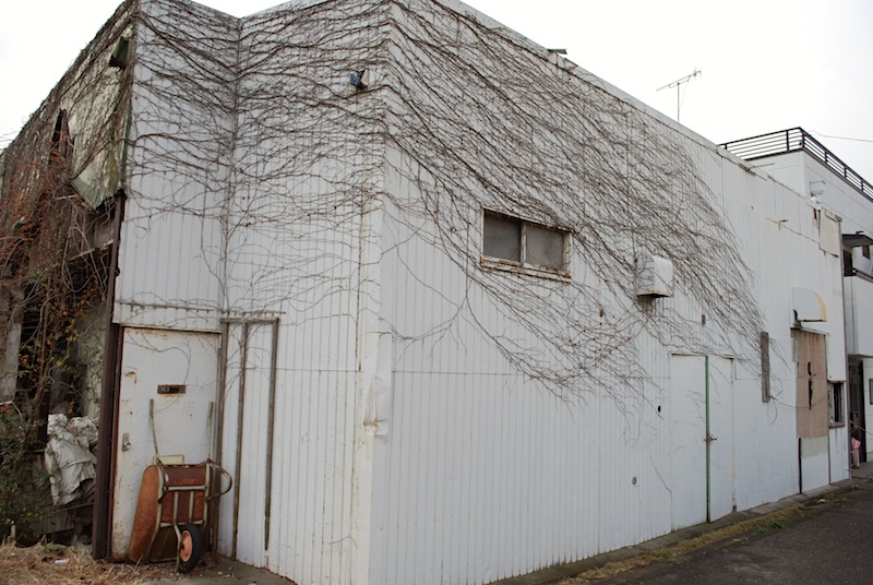 DSC_0046 のコピー.jpg