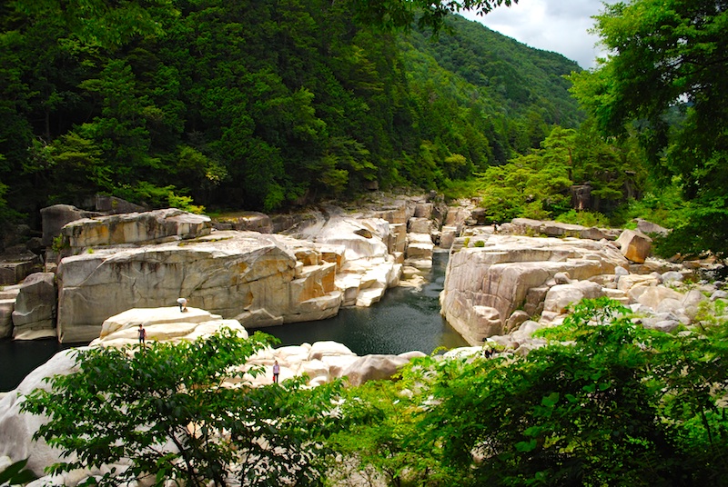 DSC_0161 のコピー.jpg