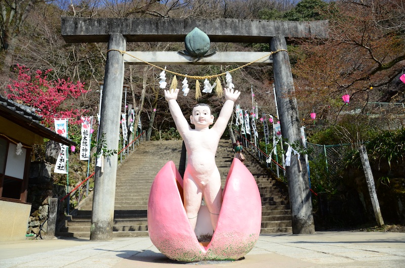 DSC_0950 のコピー.jpg