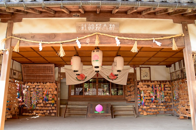 DSC_0983 のコピー.jpg
