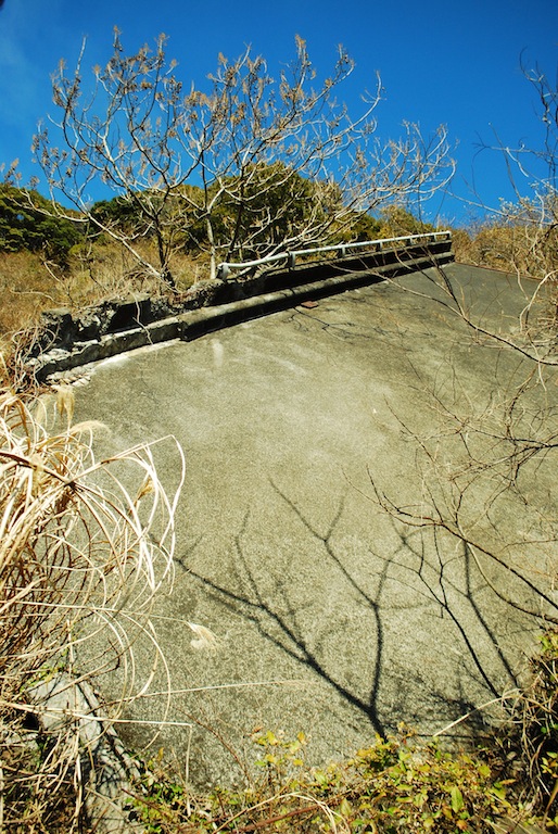 DSC_0204.jpg