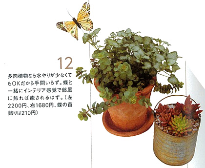 鉢