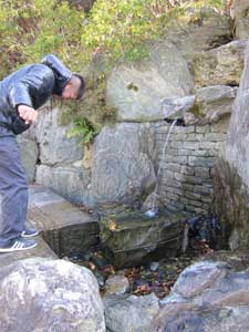 IMG_2242.jpg