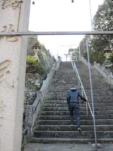 IMG_2245.jpg