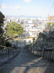 IMG_2246.jpg