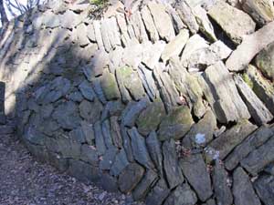 IMG_2256.jpg