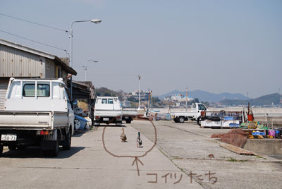 DSC_0199.jpg