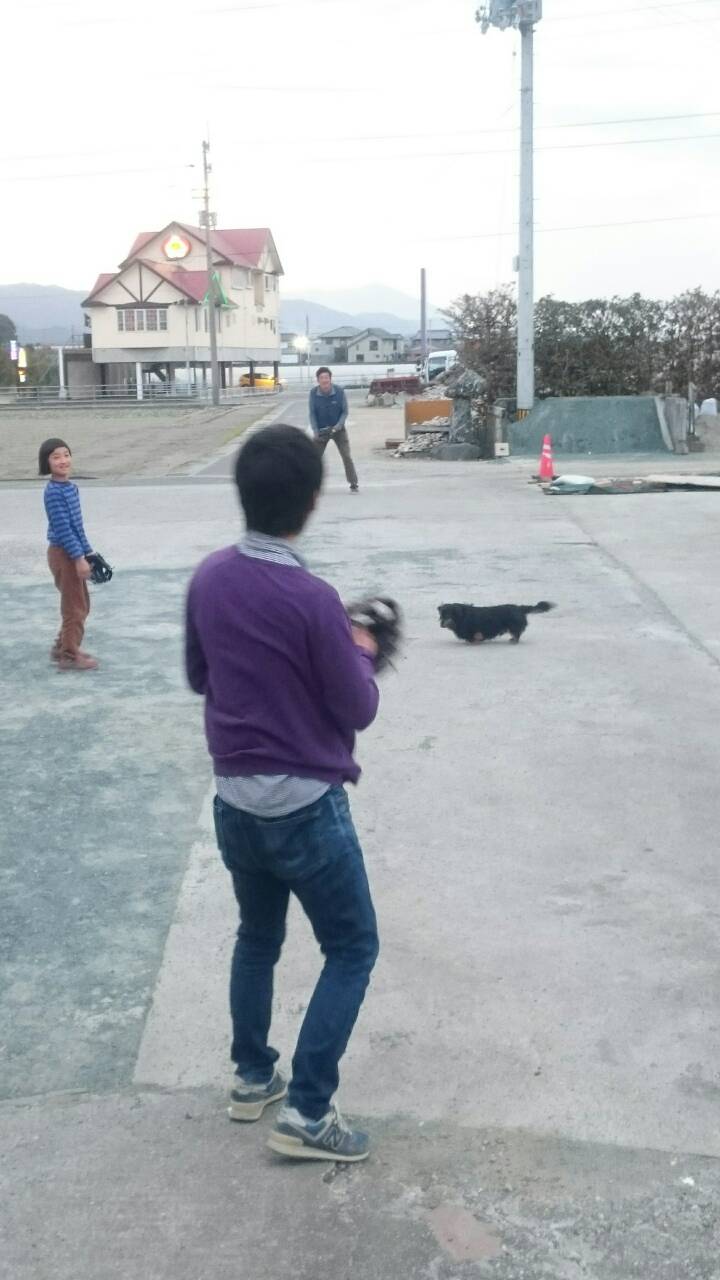 48267.jpg