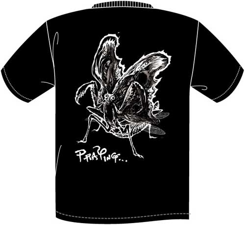 新品未使用未着用 PAINTBOX コーチジャケット M ペイントボックス Printstar：077-CJ｜コーチジャケット｜プリント専門店【SEABOW】