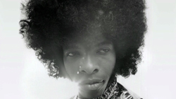 更新0831□SLY STONE スライ・ストーン DVD特典付□予約告知