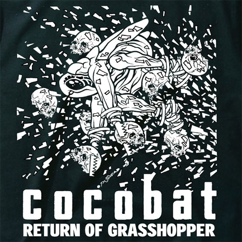 PUSHEADパスヘッドcocobatココバットARANAポスター2000年製 PUSHEADパスヘッドcocobatココバットARANAポスター2000年製