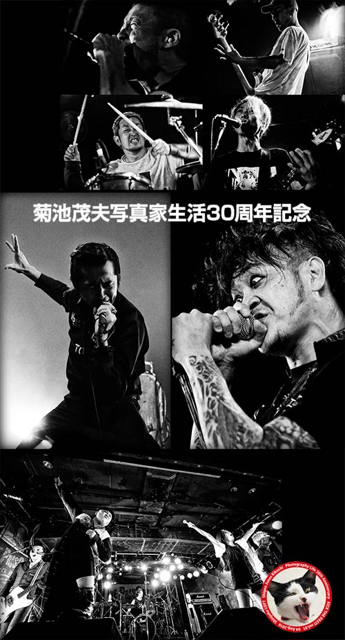 bloodthirsty butchers　写真集「青春」写真：菊池茂夫 bloodthirsty butchers 写真集「青春」写真：菊池茂夫 Amazon.co